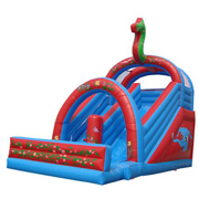 inflatable combo slide